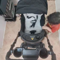 کالسکه دلیجان بنیتا