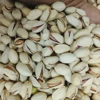 خرید و فروش پسته