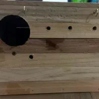 لانه انواع پرنده