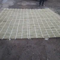 حصیرقامیش|صنایع دستی و سایر لوازم تزئینی|گنبد کاووس, |دیوار