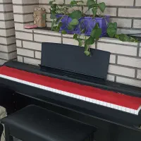 پیانو دیجیتال یاماها|پیانو، کیبورد، آکاردئون|کرج, شهرک بنفشه|دیوار