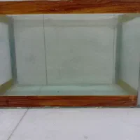 یک عدد اکواریوم