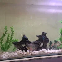 آکواریوم ۶ میل ا متری