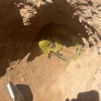 مقنی فاضلاب شهری