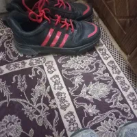 کفش|کیف، کفش، کمربند|گنبد کاووس, |دیوار