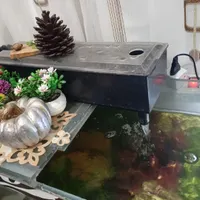 تانک تکثیر لابستر|ماهی|هشتگرد, |دیوار