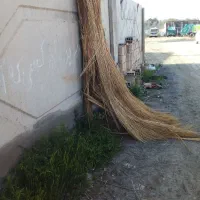 جارو شهرداری