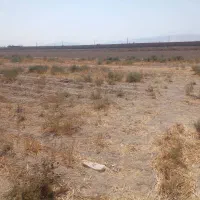 زمین-کشاورزی