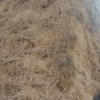 یونجه|لوازم جانبی حیوانات|مشگین شهر, |دیوار