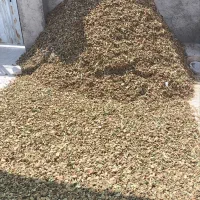 پوست بادام