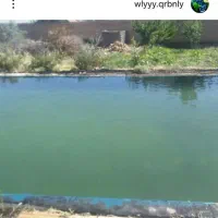 سرمایه گذار