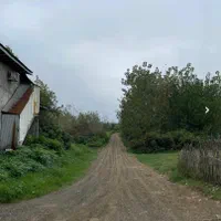 زمین کشاورزی سر آب لوکیشن عالی معاوضه با ماشین|فروش دفتر صنعتی، کشاورزی، تجاری|رشت, پسیخان|دیوار