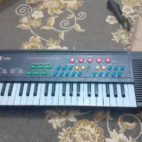 اورک بچگانه