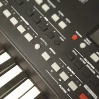 Pa300|پیانو، کیبورد، آکاردئون|چمستان, |دیوار