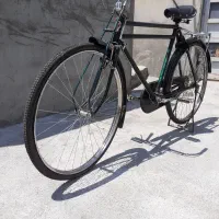 دوچرخه سه مار