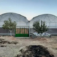 فروش گلخانه روستای چالابه|فروش زمین و ملک کلنگی|کرمانشاه, |دیوار