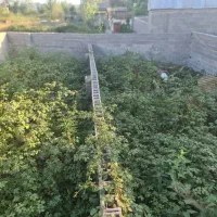 استقامت ۲|فروش زمین و ملک کلنگی|رشت, انصاری|دیوار