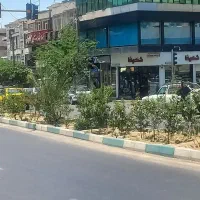 ۶۰ متر کف/۶۰متر بالکن/بر اصلی گیشا/فقط برند