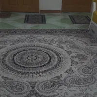 دوتا فرش نه متری کویر یزد جنس عالی|فرش|رشت, دروازه لاکان|دیوار