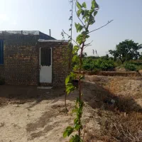 باغ|فروش دفتر صنعتی، کشاورزی، تجاری|اراک, |دیوار