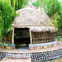 الاچیق|خدمات پیشه و مهارت|کهنوج, |دیوار