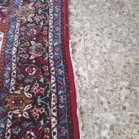 فرش|فرش|دزفول, |دیوار