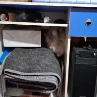 میز کامپیوتر