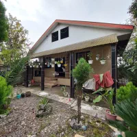 فروش ویلایی۴۵۰ متری سندتک برگ جای بکر و خاص|فروش خانه و ویلا|رشت, حومه رشت|دیوار