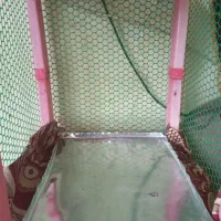 جفتگاه کبوتر|لوازم جانبی حیوانات|ضیابر, |دیوار