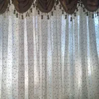 دو عدد پرده همراه دالبر