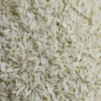 برنج کامفیروزی درجه یک