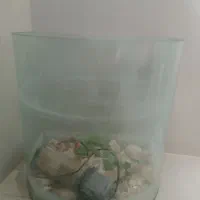 آکواریوم|ماهی|مشهد, کشف|دیوار