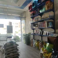 پت شاپ پاپی پت