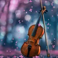 آموزش ویولن