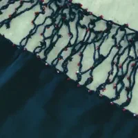 شال و روسری