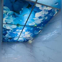 اجرای سقف کاذب ودکوراسیون