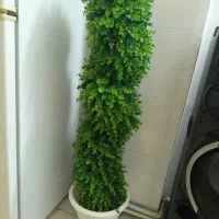 گل مصنوعی|گل مصنوعی|سمنان, |دیوار