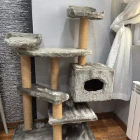 اسکرچر گربه|لوازم جانبی حیوانات|رشت, گلسار|دیوار