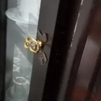 ویترین (بوفه)|بوفه، ویترین، کنسول|رشت, سلیمانداراب|دیوار