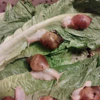 حلزون طبی آلبینو و تخم حلزون|خزنده|مشهد, هنرستان|دیوار