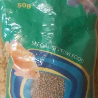 غذای ماهی