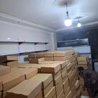 فروش عمده خرما ربی و مضافتی