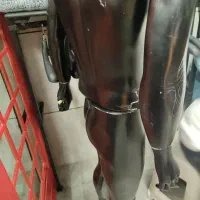 مانکن مرتب|فروشگاه و مغازه|سنندج, |دیوار