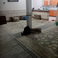 اجاره-منزل-85متری-در-جمکران