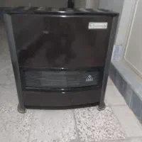 بخاری سالم در حد