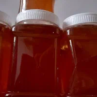 عسل کاملاگیاهی