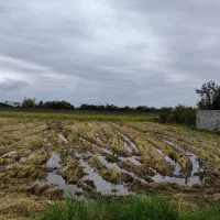 فروش زمین کشاورزی داخل بافت (خانه سرا)