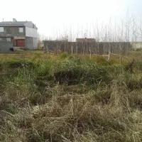 زمین 333 متری میدان نیروی دریایی کوی صاحب زمان