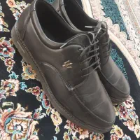 کفش مجلسی