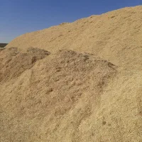 خریدار کاه نخود با بالاترین قیمت|خدمات باغبانی و درختکاری|کرمانشاه, |دیوار